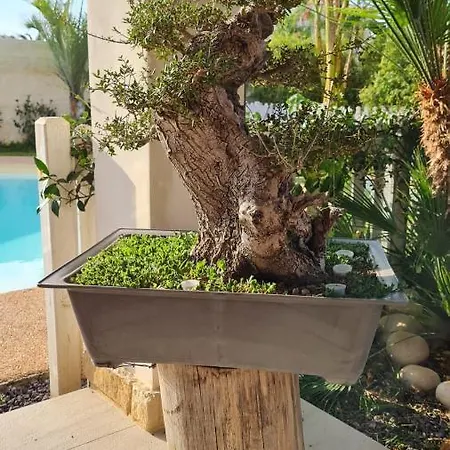 Dependance Oscar Homestay Carrozziere Fonte Ciane