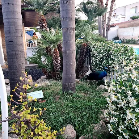 Homestay Dependance Oscar Carrozziere Fonte Ciane